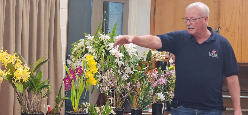 Plant display at NZOS plant table with commentary by Allan Benson